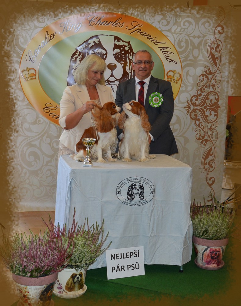 BEST COUPLE CLUB DOG SHOW 2018