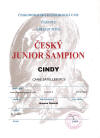 CINDY Canis Satelles junior champion czech i polski