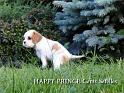 prince14