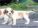 prince2